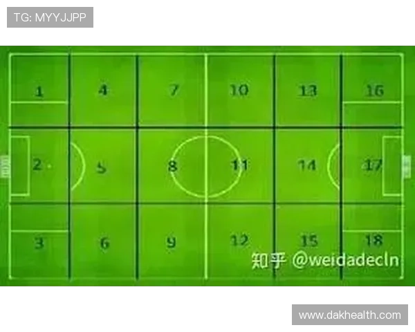 赛后分析：北京足球队与上海足球队的战术对决与技术细节探讨