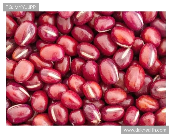 黄丽独家分享网球心得与技巧助你提升球技的全面指南